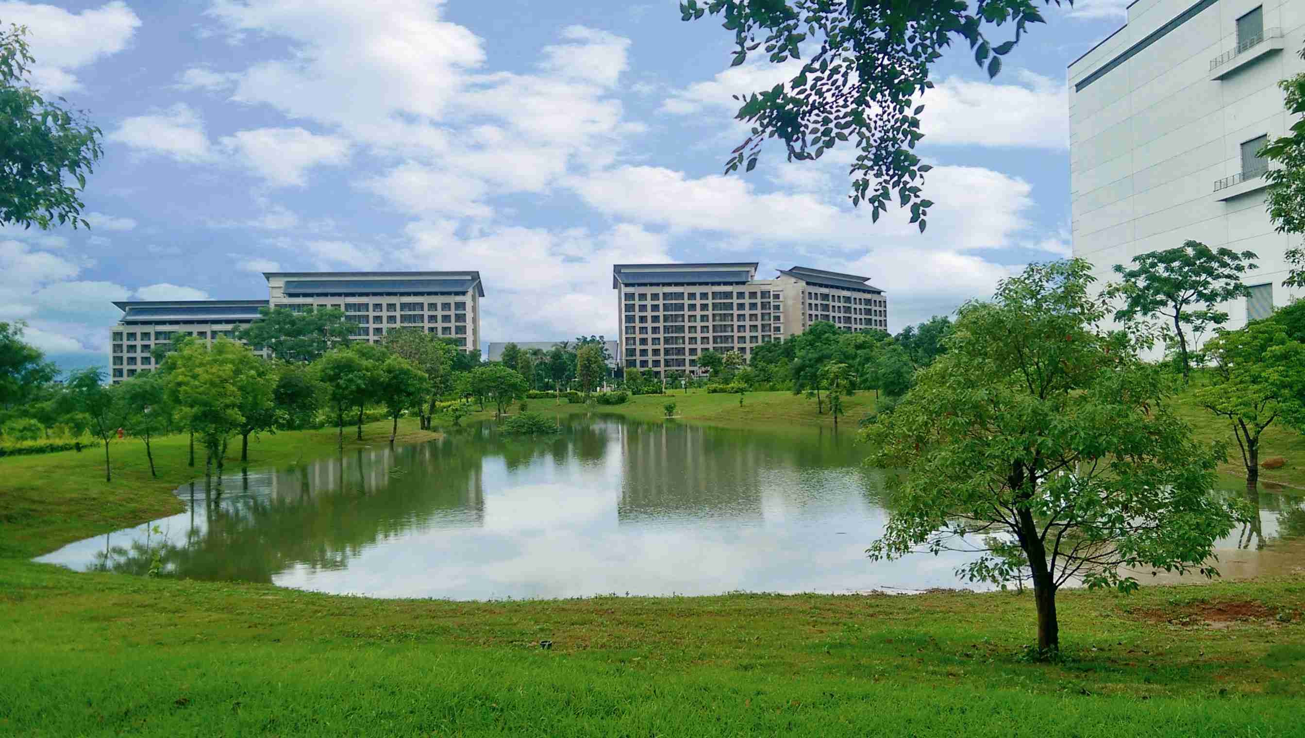 尊龙z6响应国际倡议生物多样性趋势，，，，首次发布TNFD自然相关财务揭露报告书，，擘划及开展尊龙z6生物多样性政策之承诺，，逐步迈向与自然和谐共生